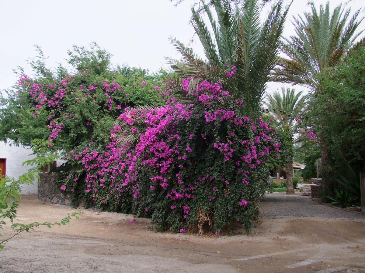 Villa Morabeza Guest House Mindelo Exterior photo